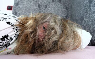 Yin Yoga bei Schlaflosigkeit:        3 sanfte Übungen, die dich runterfahren und besser einschlafen lassen